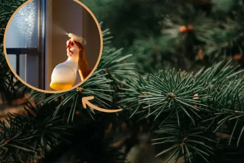 Ręka rozpyla płyn na okno, tworząc mgiełkę. W tle widać gałązki choinki, które przypominają o świątecznym zapachu choinki.